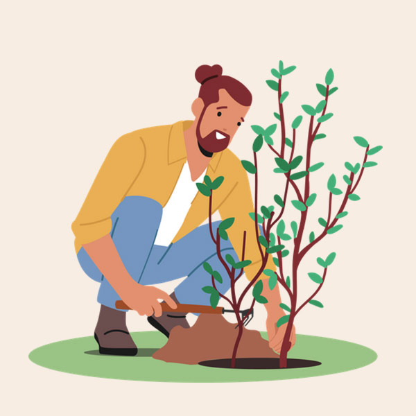 Sustainablity